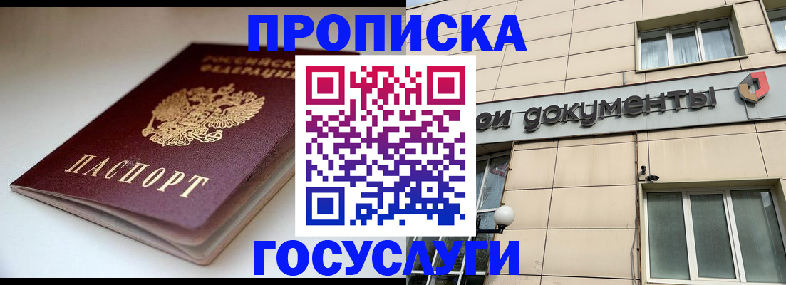 временная регистрация госуслуги в Новосибирской области